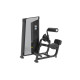 Abdominal/Back Extension