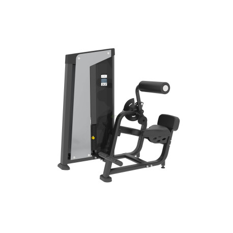 Abdominal/Back Extension