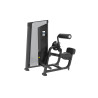 Abdominal/Back Extension